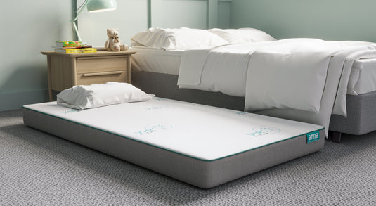 The Sleepover Mattress